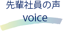 先輩社員の声